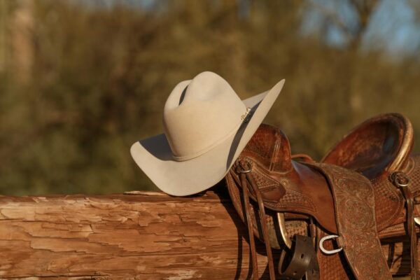 Stetson Skyline 6X Quality Fur Felt Hat - Image 6