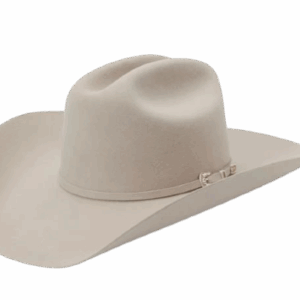 Stetson Skyline 6X Quality Fur Felt Hat